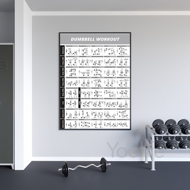 Workout Oefeningen Grafiek Pos - Sports Equipment Poster recensie en prijs